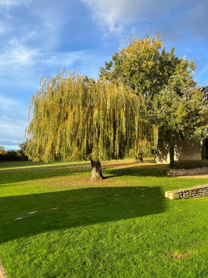 Bed and Breakfast La Girarde Saint-Quentin-de-Caplong Экстерьер фото