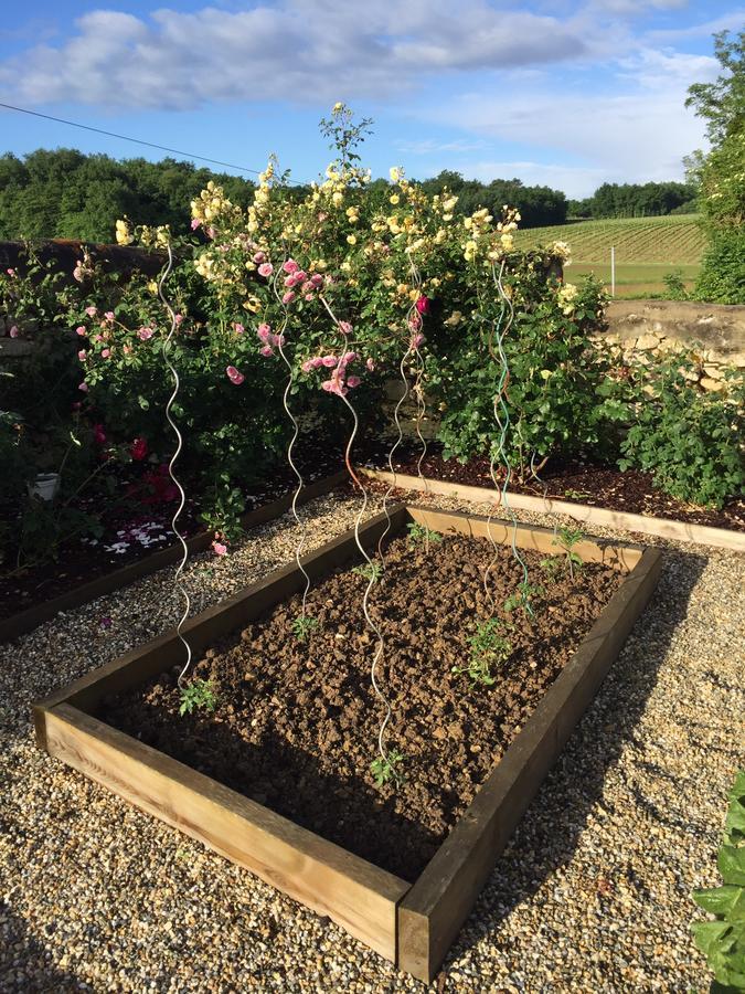 Bed and Breakfast La Girarde Saint-Quentin-de-Caplong Экстерьер фото